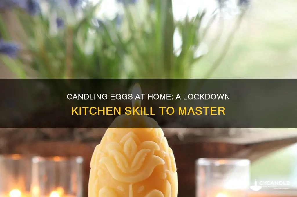 can you candle eggs during lockdown
