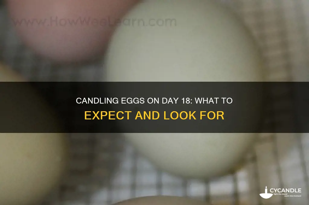 can you candle eggs on day 18