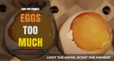 Candling Eggs: How Much is Too Much? Expert Tips Revealed