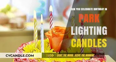 Celebrate Birthdays in the Park: Lighting Candles and Making Memories
