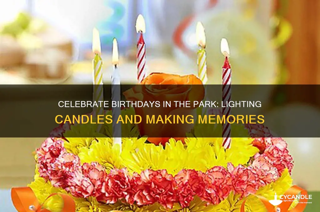 can you celebrate birthday in park lighting candles