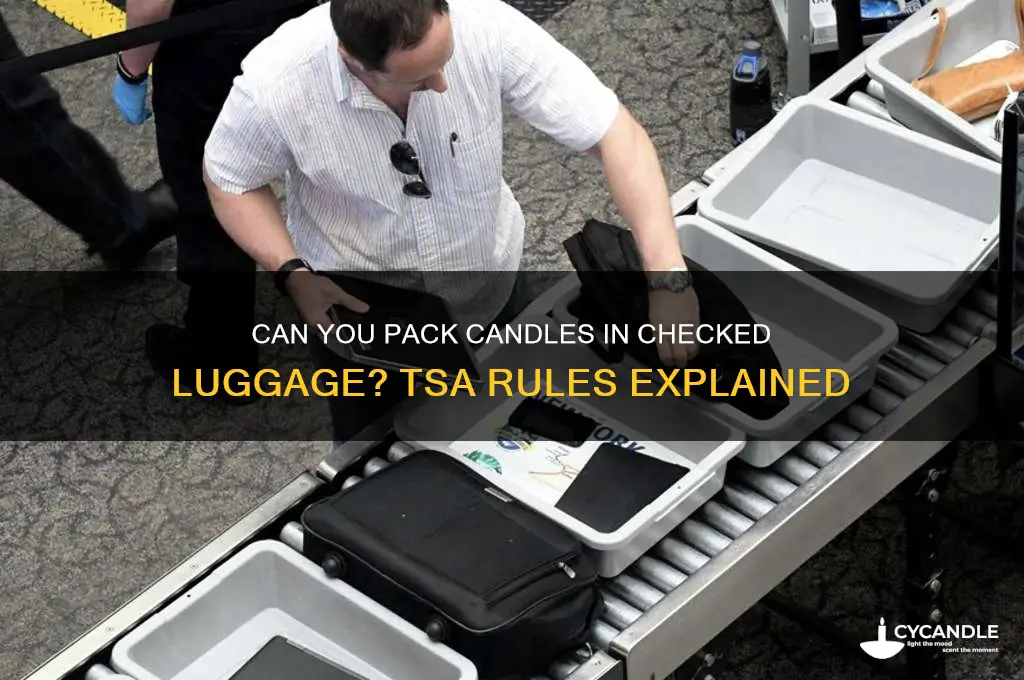 can you check a candle on a plane