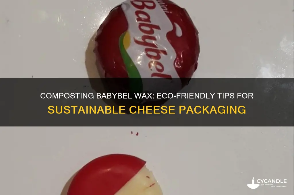 can you compost babybel wax