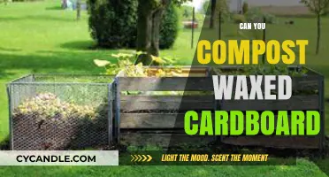 Composting Waxed Cardboard: Eco-Friendly Tips for Sustainable Waste Management
