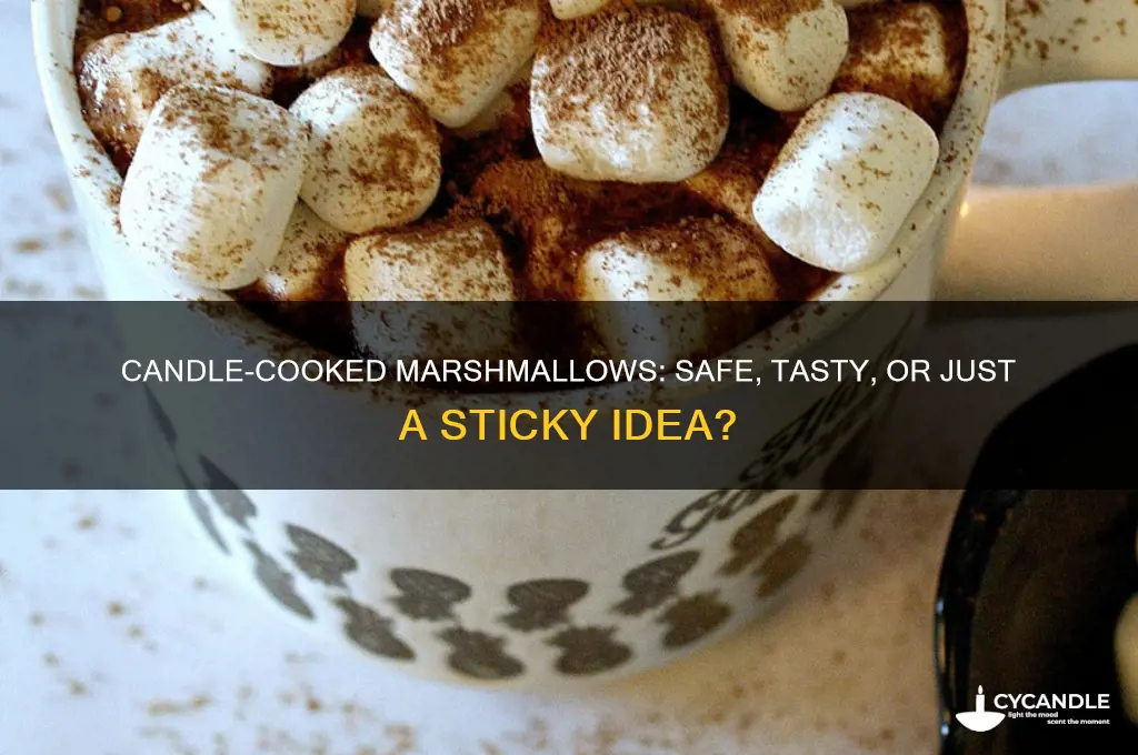 can you cook a marshmallow over a candle