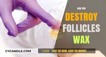 Can Waxing Permanently Destroy Hair Follicles? The Truth Revealed