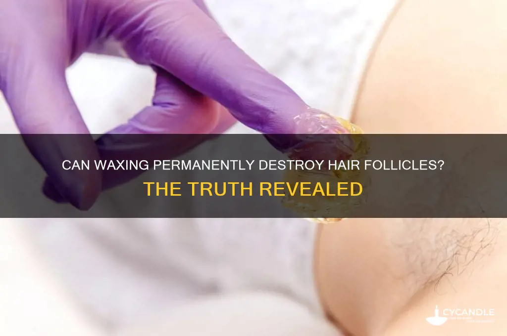 can you destroy follicles wax