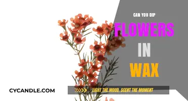 Wax-Dipped Flowers: A Creative Guide to Preserving Floral Beauty