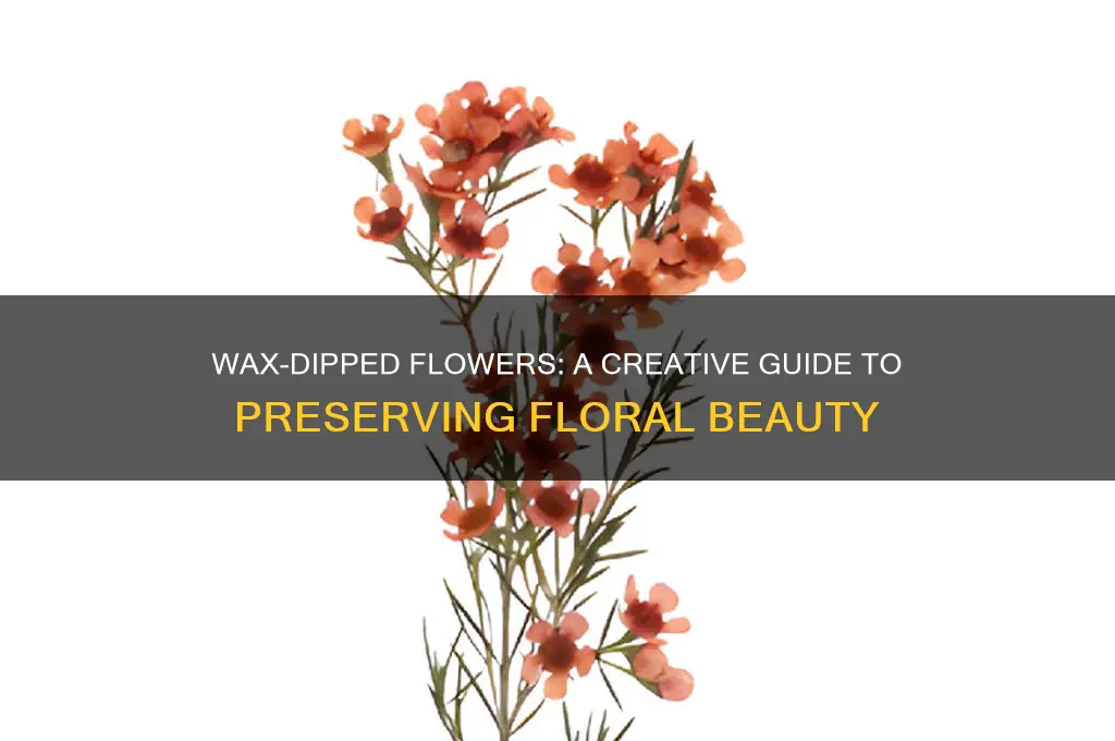 can you dip flowers in wax