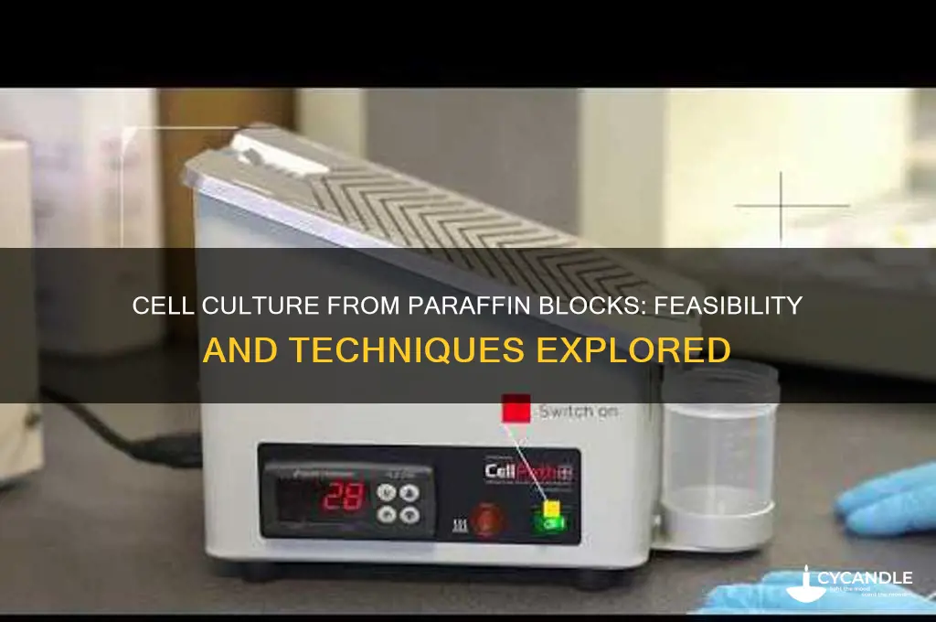 can you do cell culture from paraffin block