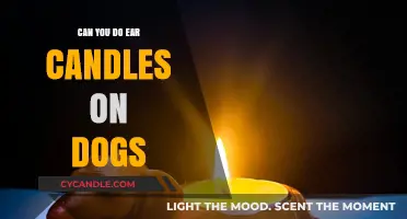 Ear Candling for Dogs: Safe Practice or Risky Trend?