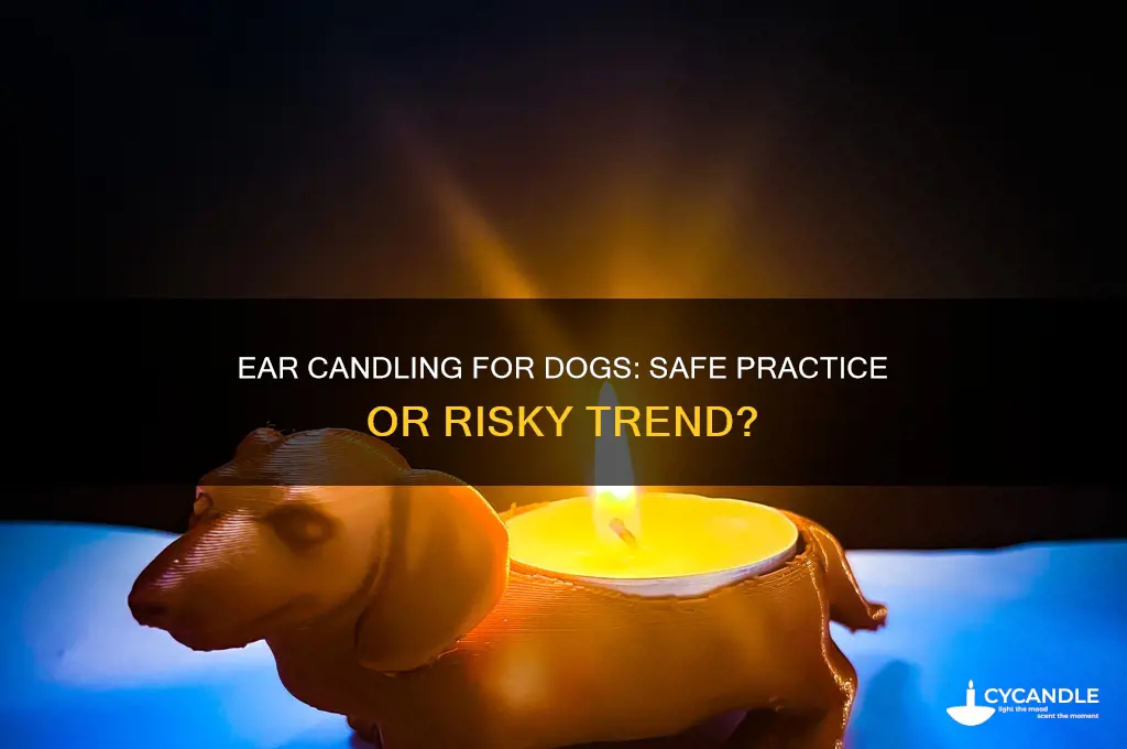 can you do ear candles on dogs