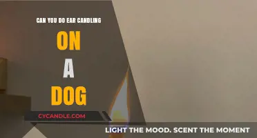 Is Ear Candling Safe for Dogs? What Pet Owners Need to Know