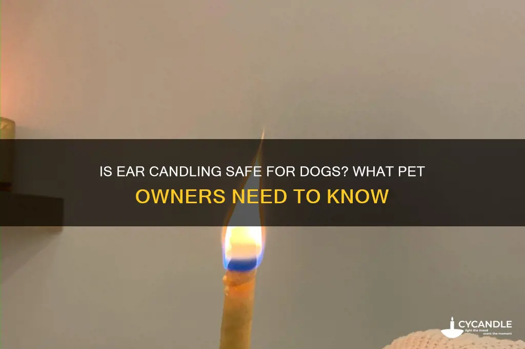 can you do ear candling on a dog