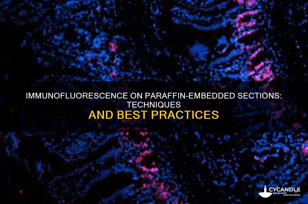 can you do immunofluorescence on paraffin embedded sections