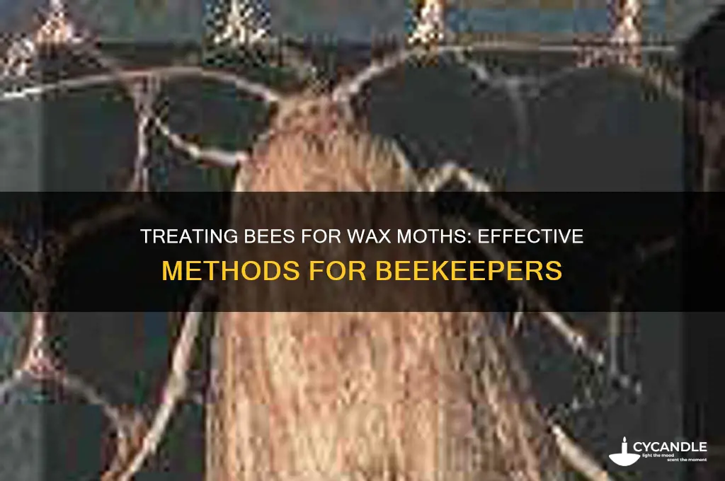can you doctor bees for wax moths
