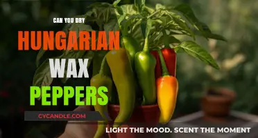 Drying Hungarian Wax Peppers: A Simple Guide for Spicy Preservation