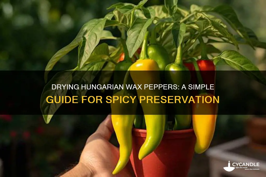 can you dry hungarian wax peppers