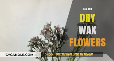 How to Dry Wax Flowers: A Simple Preservation Guide