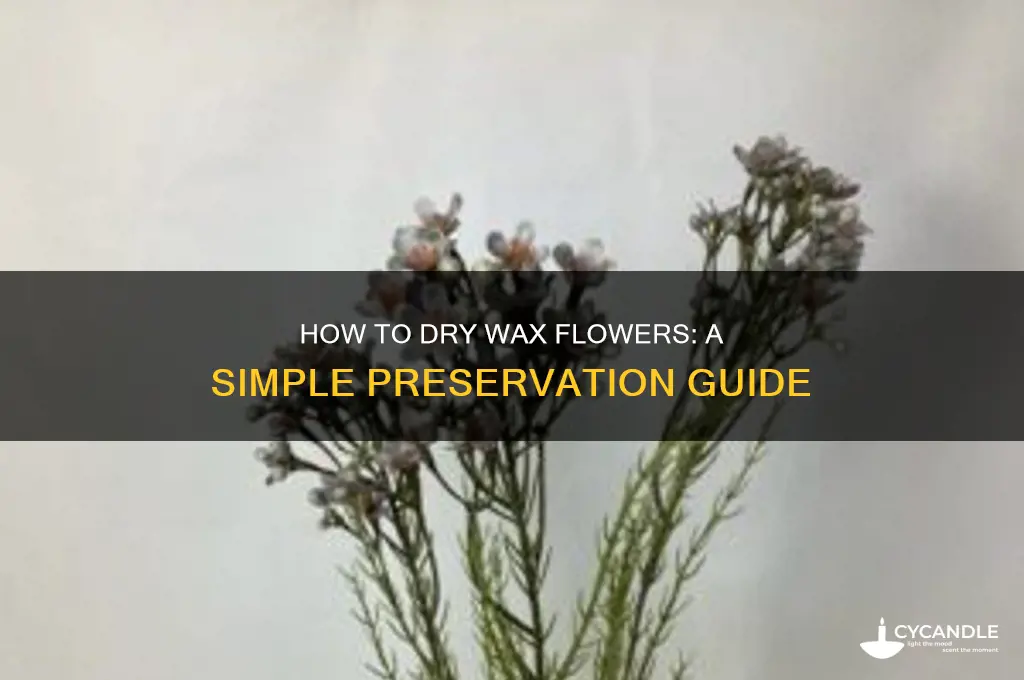 can you dry wax flowers