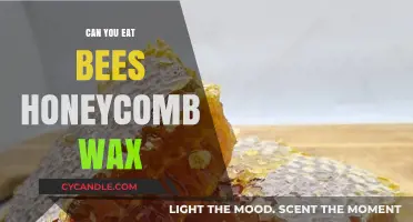 Is Beeswax Edible? Exploring the Safety of Eating Honeycomb Wax