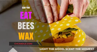 Nature's Edible Treasure: Exploring the Uses and Benefits of Beeswax