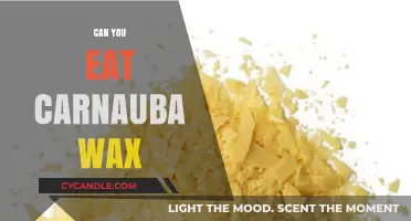 Is Carnauba Wax Edible? Exploring Its Safety and Uses in Food