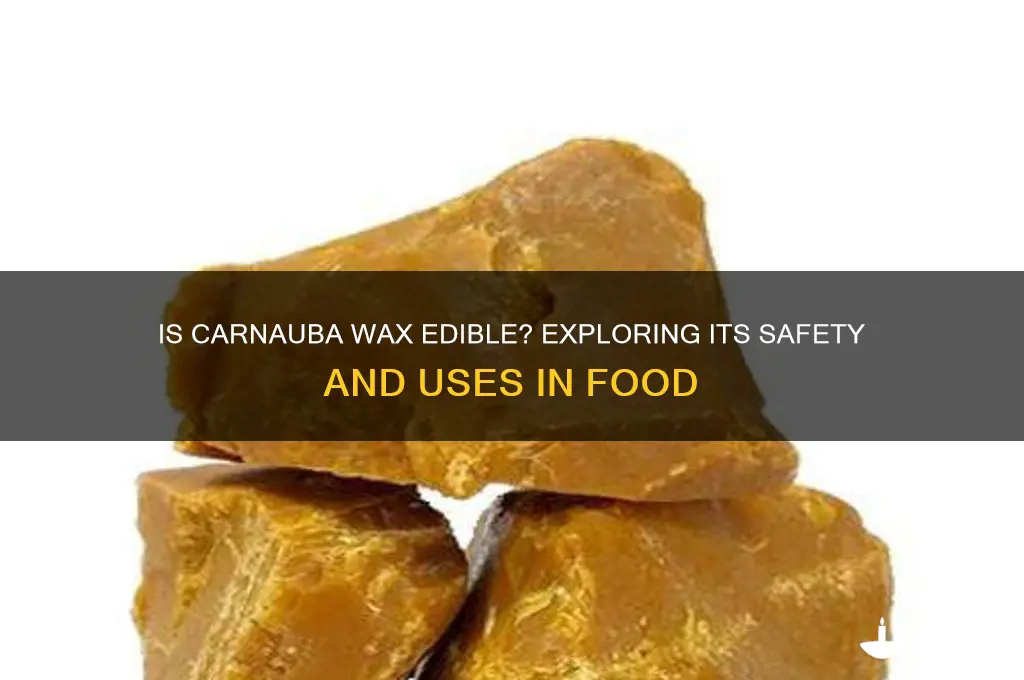 can you eat carnauba wax