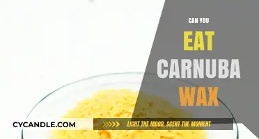 Is Carnauba Wax Edible? Exploring Its Safety and Uses in Food