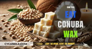 Is Conuba Wax Edible? Exploring Its Safety and Uses in Food