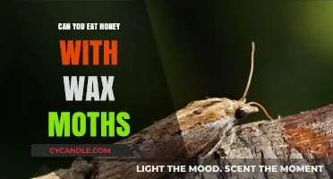 Can You Eat Honey with Wax Moths? Facts and Safety Tips