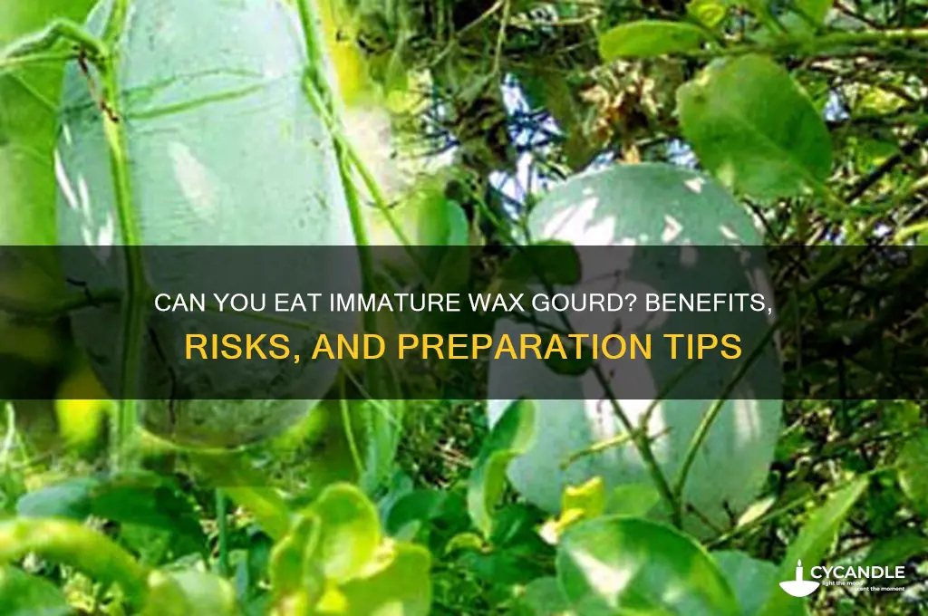 can you eat immature wax gourd