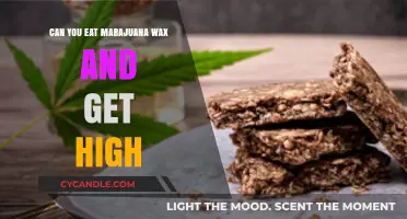 Can You Eat Marijuana Wax and Get High? Facts Revealed