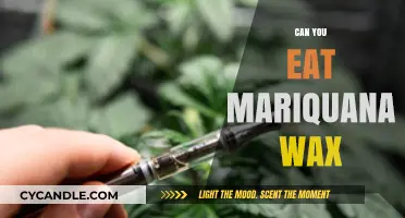 Can You Eat Marijuana Wax? Risks, Effects, and Safety Tips