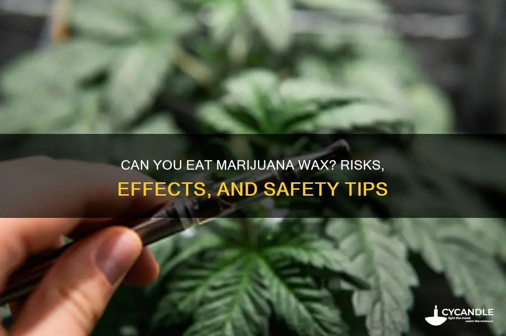 can you eat mariquana wax