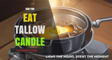 Is Eating Tallow Candles Safe? Surprising Facts You Need to Know