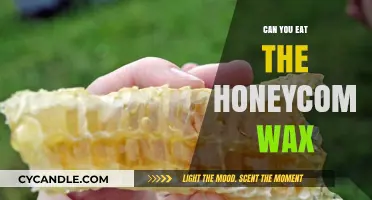 Nature's Sweetness: Is Honeycomb Wax Safe to Eat?
