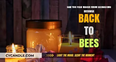 Feeding Bees Recycled Wax Water: Safe Practice or Risky Move?