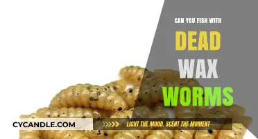 Fishing with Dead Wax Worms: Effective or Not?