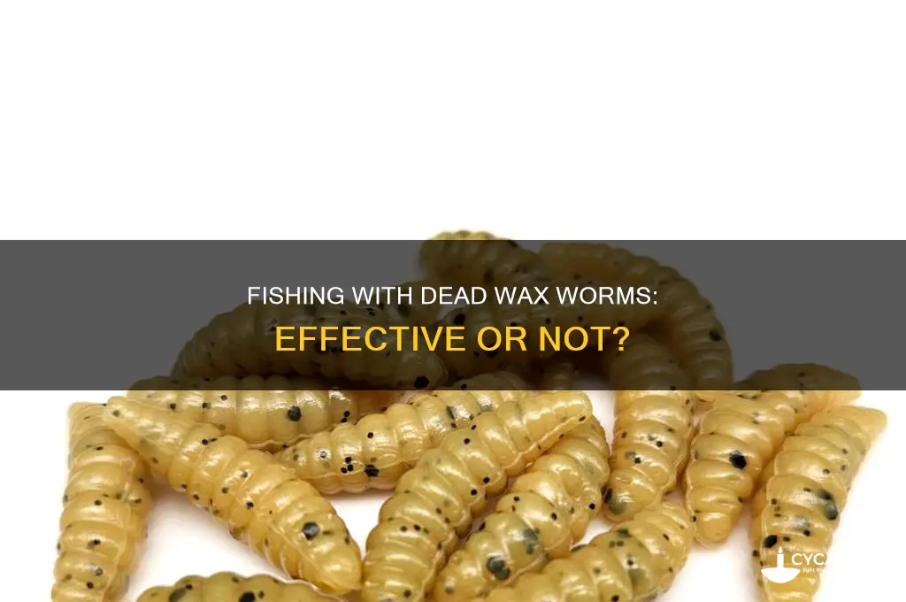 can you fish with dead wax worms