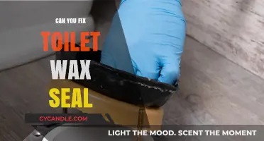 How to Fix a Leaky Toilet Wax Seal: DIY Repair Guide