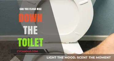Can You Flush Wax Down the Toilet? Risks and Alternatives