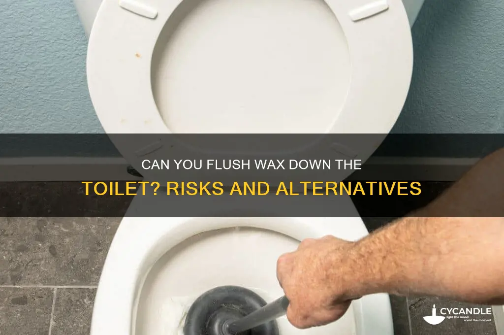 can you flush wax down the toilet