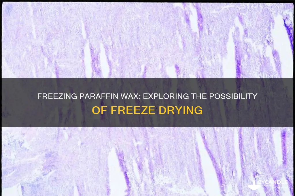 can you freeze dry paraffin wax