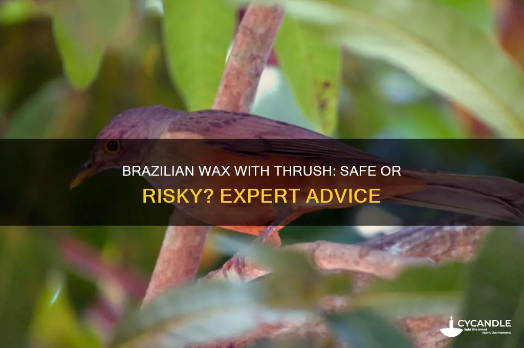 can you get a brazilian wax with thrush
