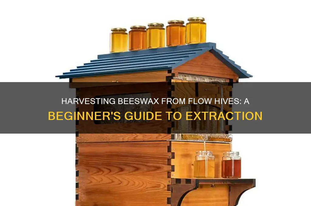 can you get beeswax from the flow hive