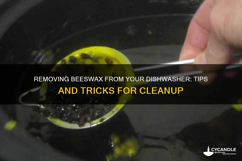 can you get beeswax out of a dishwasher