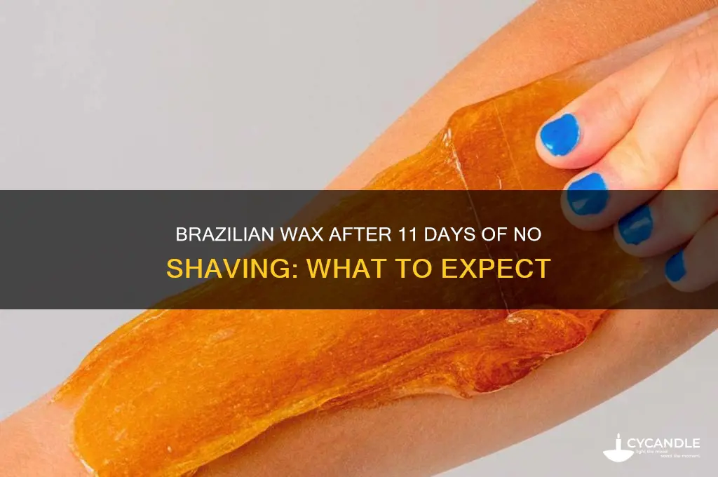 can you get brazilian wax 11 days no shaving
