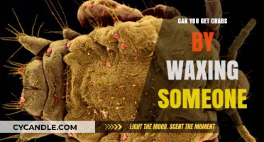 Waxing and Crabs: Debunking the Myth of Transmission Risks