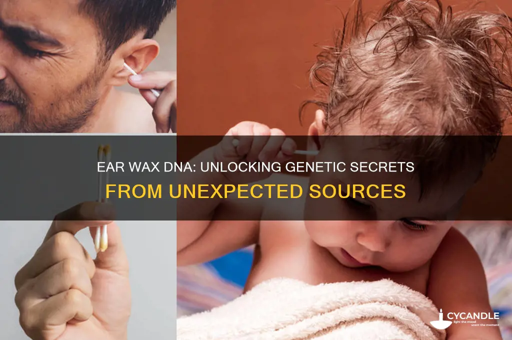 can you get dna from ear wax